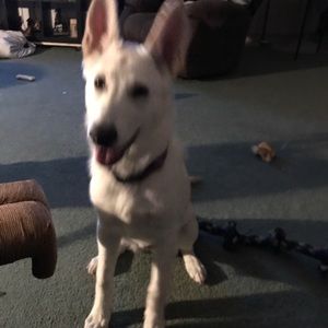 Meet your Posher, Yvette